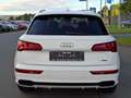 Audi Q5 50 TFSI e quattro S´Line Sport*Virtual*DSP* Weiß - thumbnail 6