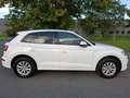 Audi Q5 50 TFSI e quattro S´Line Sport*Virtual*DSP* Weiß - thumbnail 4