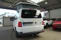 Volkswagen T6 ''OceanCamper by BonVoyage''Vermietung 95€/Ta Weiß - thumbnail 24