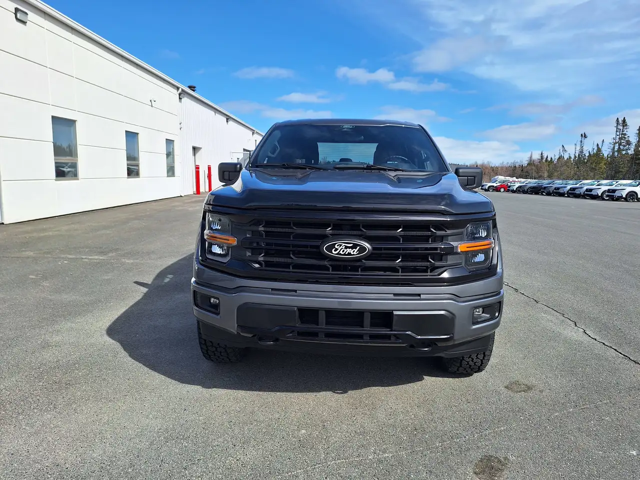 Ford F 150 снимка Ford F 150