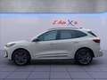 Ford Kuga 2.5 full hybrid Sound Edition 2wd 180cv auto Alb - thumbnail 9