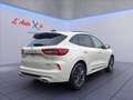 Ford Kuga 2.5 full hybrid Sound Edition 2wd 180cv auto Alb - thumbnail 6