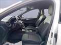 Ford Kuga 2.5 full hybrid Sound Edition 2wd 180cv auto Alb - thumbnail 11