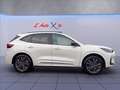 Ford Kuga 2.5 full hybrid Sound Edition 2wd 180cv auto Alb - thumbnail 8