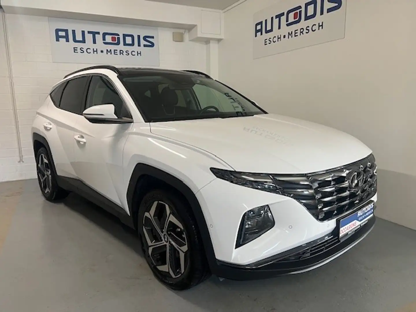 Hyundai TUCSON 1.6 T-GDI HEV 230 SHINE SENSATION Weiß - 1