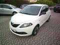 Lancia Ypsilon Ypsilon 1.0 firefly hybrid Gold Plus s Bianco - thumbnail 1