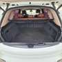 BMW X5 sDrive 25dA Blanc - thumbnail 8
