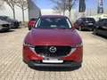 Mazda CX-5 2.5 Advantage AHK schwenkbar Allwetterbereifung Rouge - thumbnail 7