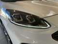 Ford Kuga ST-Line X Aut. Weiß - thumbnail 11
