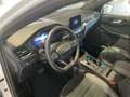 Ford Kuga ST-Line X Aut. Weiß - thumbnail 12