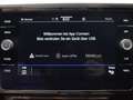 Volkswagen Passat Alltrack 2.0 TDI 4M RCam ACC Spur Navi LED Gris - thumbnail 25