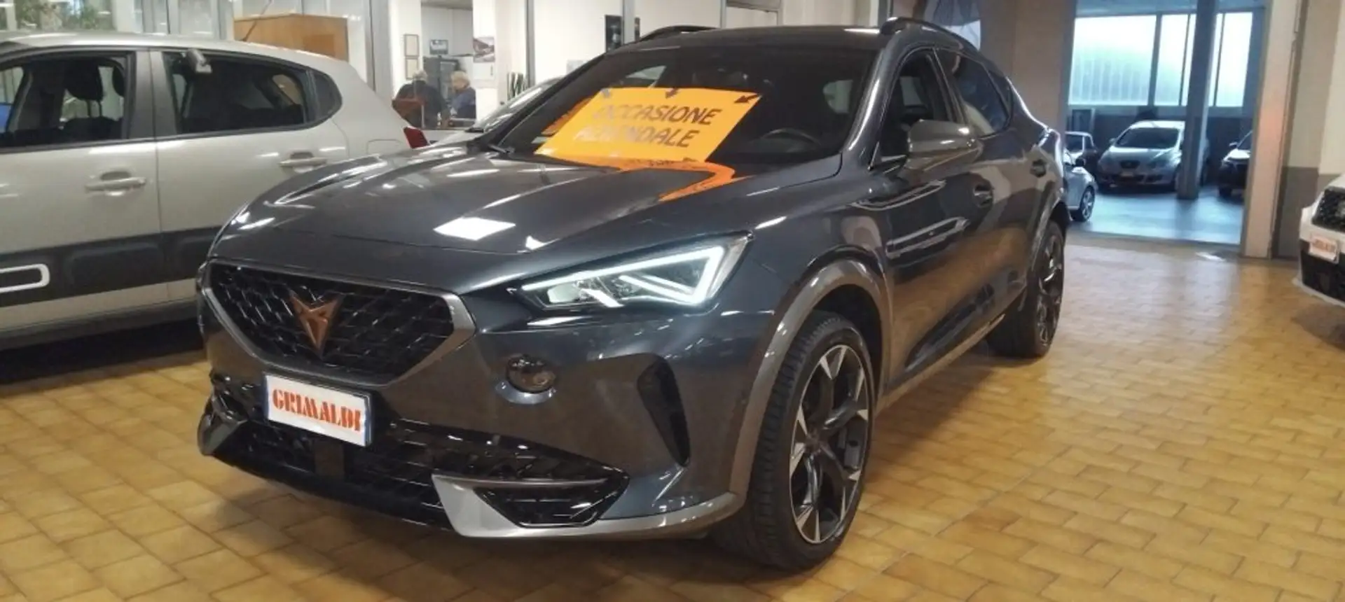 CUPRA Formentor 2.0 TDI 4Drive DSG 19" VIDEO Gris - 1