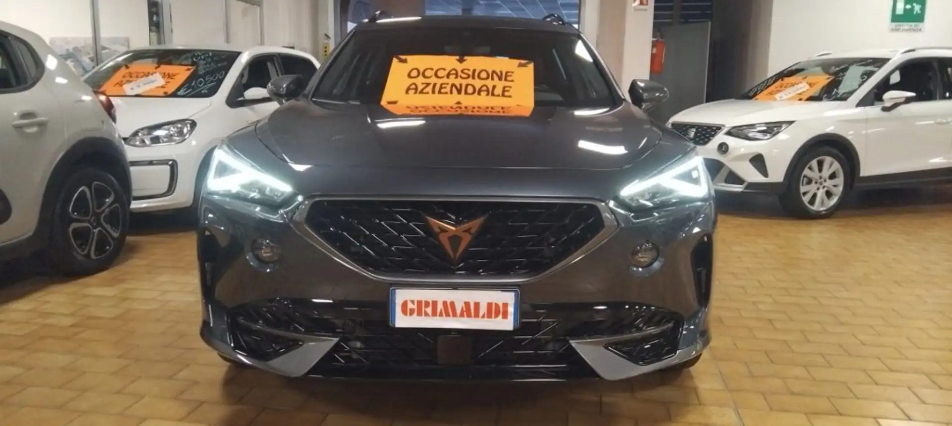 CUPRA Formentor 2.0 TDI 4Drive DSG 19" VIDEO Gris - 2