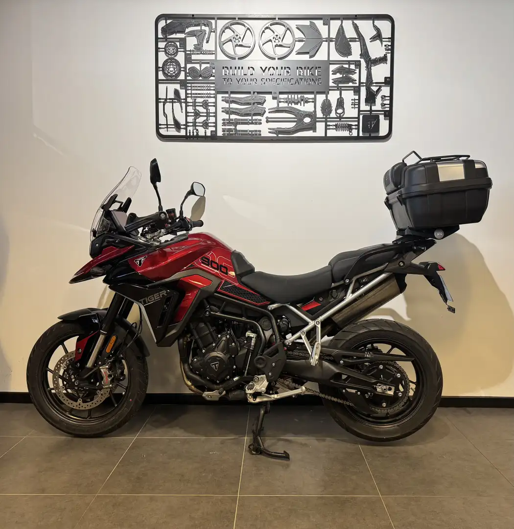 Triumph Tiger 900 - 2