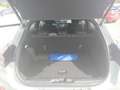Ford Puma Puma 1.0 EcoBoost Hybrid 125 CV S&S ST-Line - thumbnail 5