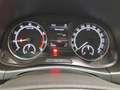 Skoda Fabia Ambition 1.0 TSI Blau - thumbnail 10