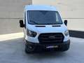 Ford Transit 310 2.0 ECOBLUE 130CV*PREZZO PROMO*LIST.€51080* Bianco - thumbnail 2