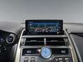 Lexus NX 300 300h Business Navigation 2WD Rojo - thumbnail 9