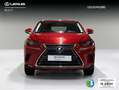 Lexus NX 300 300h Business Navigation 2WD Rojo - thumbnail 3