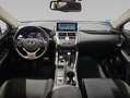 Lexus NX 300 300h Business Navigation 2WD Rojo - thumbnail 6