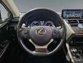 Lexus NX 300 300h Business Navigation 2WD Rojo - thumbnail 7
