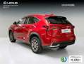 Lexus NX 300 300h Business Navigation 2WD Rojo - thumbnail 4
