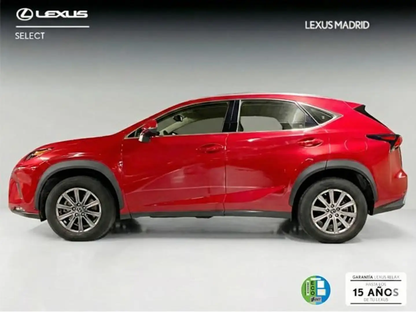 Lexus NX 300 300h Business Navigation 2WD Rojo - 2