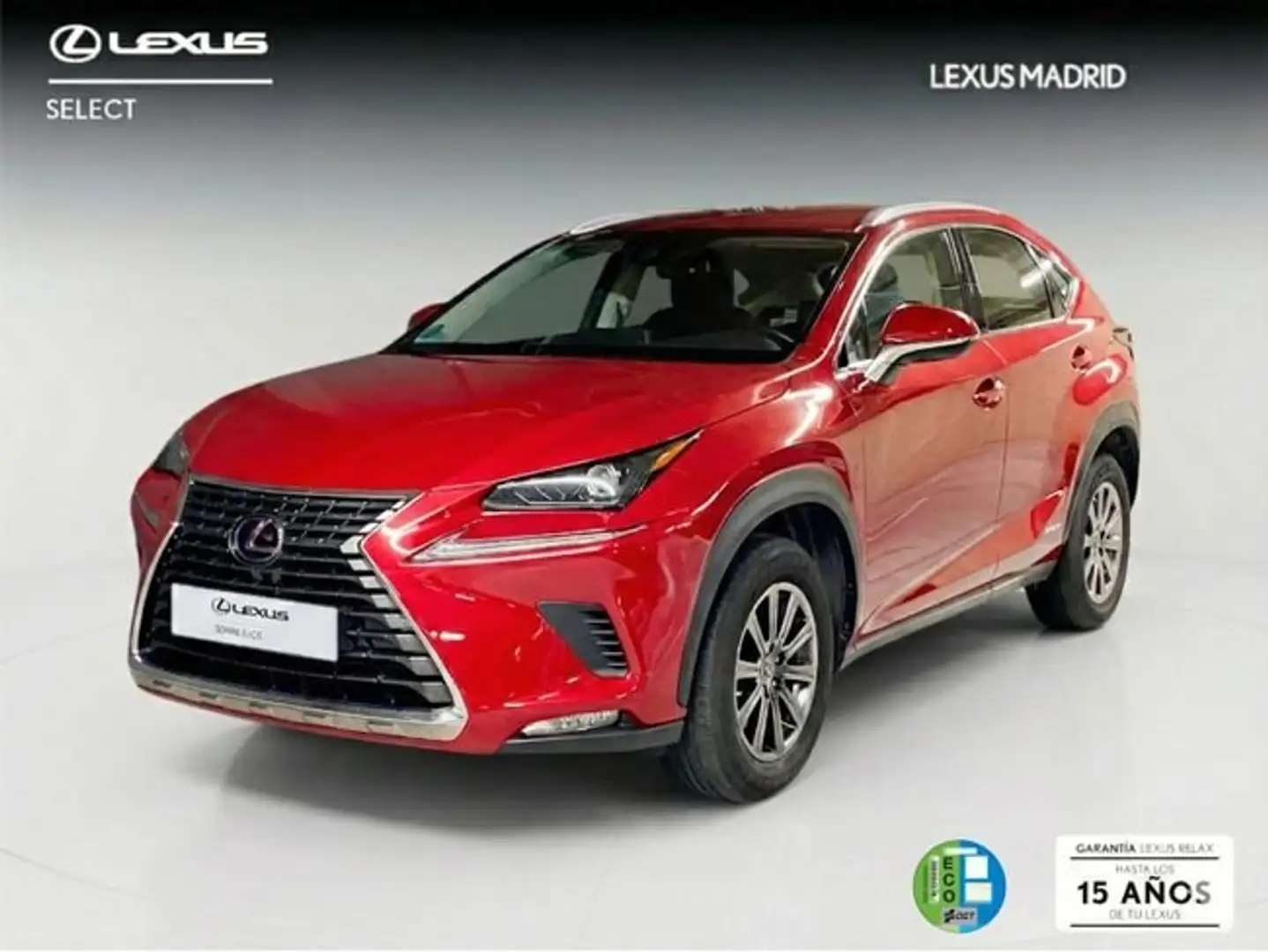 Lexus NX 300 300h Business Navigation 2WD Rojo - 1
