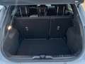 Ford Puma 1.0 Ecoboost Hybrid 125cv St-line S&S Grigio - thumbnail 15