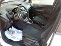 Ford B-Max B-Max 1.6 tdci Business 95cv Bianco - thumbnail 8