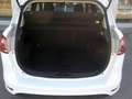 Ford B-Max B-Max 1.6 tdci Business 95cv Bianco - thumbnail 12