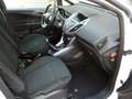 Ford B-Max B-Max 1.6 tdci Business 95cv Bianco - thumbnail 15