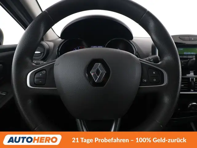 Renault Clio view 19