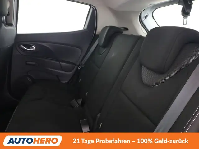 Renault Clio view 14