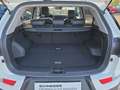 SsangYong Korando e-MOTION TITANIUM Titanium NAVI+LEDER+El.-SITZE Weiß - thumbnail 12