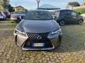 Lexus UX 250h UX Hybrid Executive AZIENDALE KM CERTIFICATI Gris - thumbnail 2