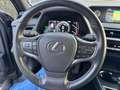 Lexus UX 250h UX Hybrid Executive AZIENDALE KM CERTIFICATI Gris - thumbnail 14