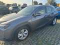 Lexus UX 250h UX Hybrid Executive AZIENDALE KM CERTIFICATI Gris - thumbnail 3
