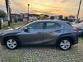 Lexus UX 250h UX Hybrid Executive AZIENDALE KM CERTIFICATI Gris - thumbnail 7