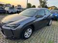 Lexus UX 250h UX Hybrid Executive AZIENDALE KM CERTIFICATI Gris - thumbnail 8