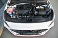 Hyundai i30 N Drive-N Limited Schalensitze *No. 193 800* Weiß - thumbnail 7