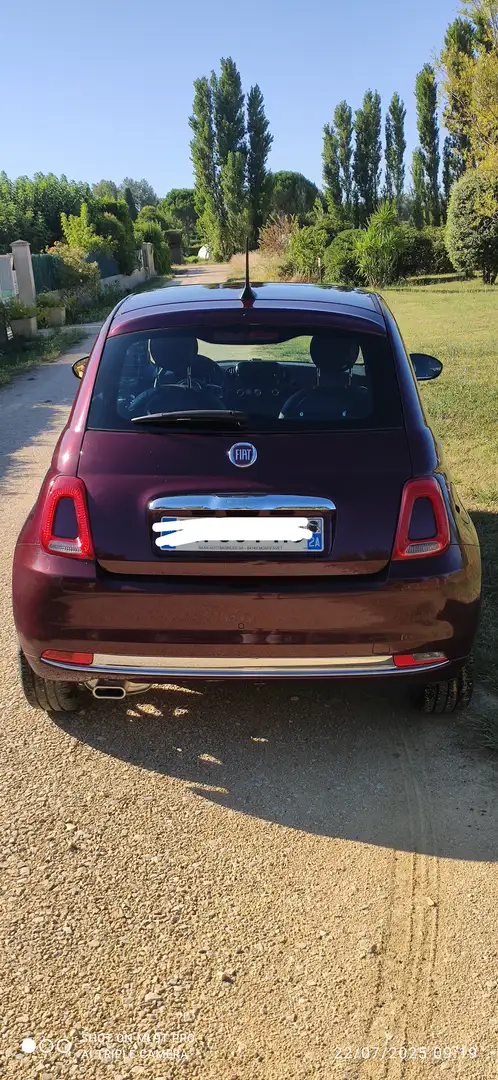 Fiat 500 500 1.2 69 ch Eco Pack S/S Star - 2
