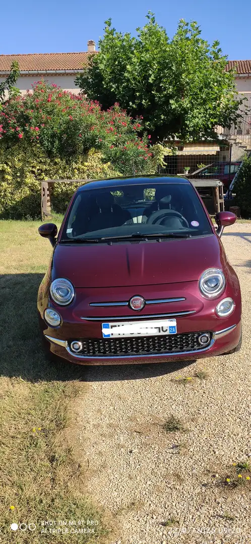 Fiat 500 500 1.2 69 ch Eco Pack S/S Star - 1