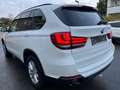 BMW X5 X5 xDrive30d Weiß - thumbnail 3