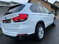 BMW X5 X5 xDrive30d Weiß - thumbnail 11