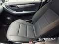 Mercedes-Benz B 170 Service Neu 2 Hand Schwarz - thumbnail 23