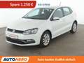 Volkswagen Polo 1.2 TSI Comfortline BlueMotion Tech *ALU* Alb - thumbnail 1