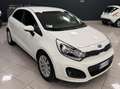 Kia Rio Rio 5p 1.4 crdi EX Plus Wit - thumbnail 1