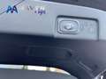 Ford Puma 1.0 EcoBoost 155cv ST-Line X Gold MHEV Automático Noir - thumbnail 10