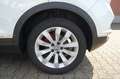 Volkswagen T-Roc Sport 1.5 TSI DSG Panoramadach ACC VKZ Weiß - thumbnail 9